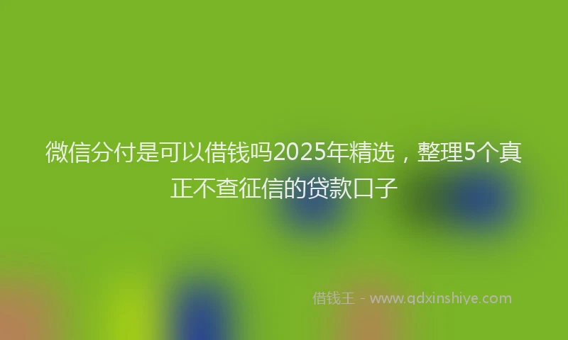 微信分付是可以借钱吗2025年精选，整理5个真正不查征信的贷款口子
