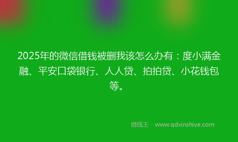 2025年的微信借钱被删我该怎么办有：度小满金融、平安口袋银行、人人贷、拍拍贷、小花钱包等。