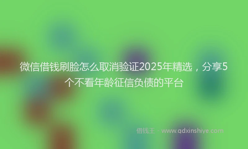 微信借钱刷脸怎么取消验证2025年精选，分享5个不看年龄征信负债的平台