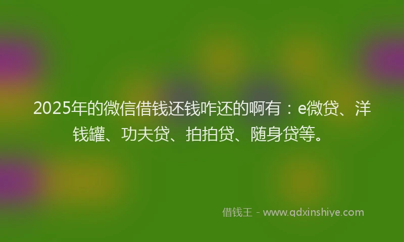 2025年的微信借钱还钱咋还的啊有：e微贷、洋钱罐、功夫贷、拍拍贷、随身贷等。