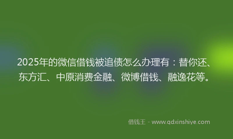 2025年的微信借钱被追债怎么办理有：替你还、东方汇、中原消费金融、微博借钱、融逸花等。