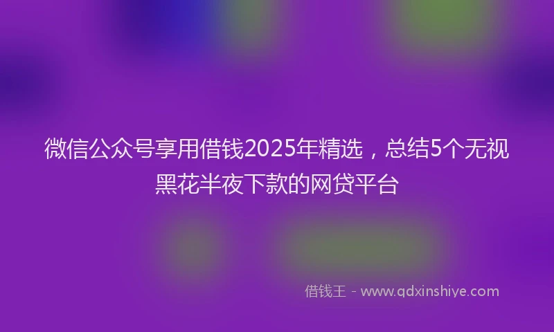 微信公众号享用借钱2025年精选，总结5个无视黑花半夜下款的网贷平台