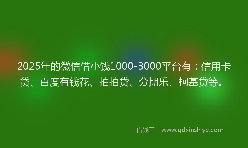 2025年的微信借小钱1000-3000平台有：信用卡贷、百度有钱花、拍拍贷、分期乐、柯基贷等。