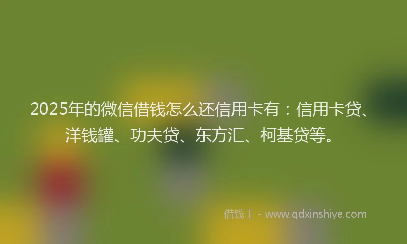 2025年的微信借钱怎么还信用卡有：信用卡贷、洋钱罐、功夫贷、东方汇、柯基贷等。
