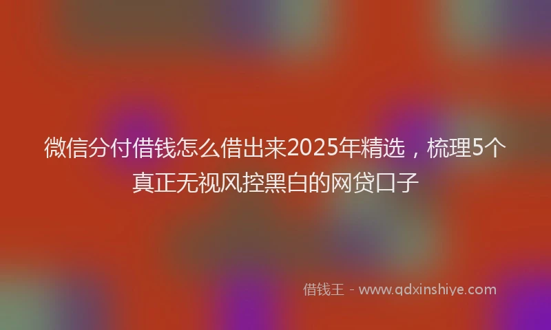 微信分付借钱怎么借出来2025年精选，梳理5个真正无视风控黑白的网贷口子
