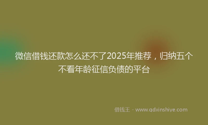 微信借钱还款怎么还不了2025年推荐，归纳五个不看年龄征信负债的平台