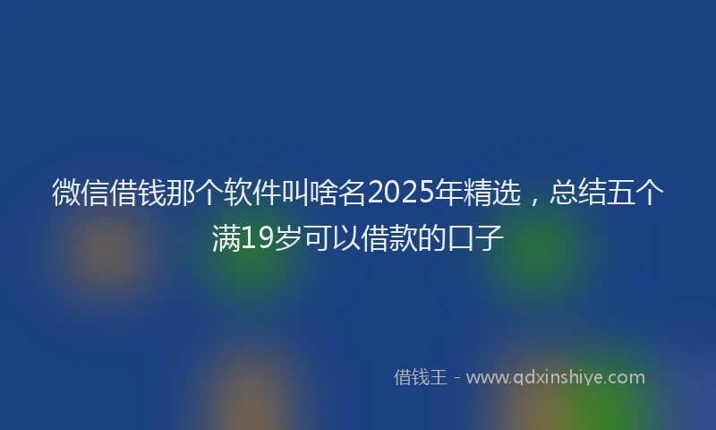 微信借钱那个软件叫啥名2025年精选，总结五个满19岁可以借款的口子