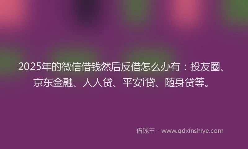 2025年的微信借钱然后反借怎么办有：投友圈、京东金融、人人贷、平安i贷、随身贷等。