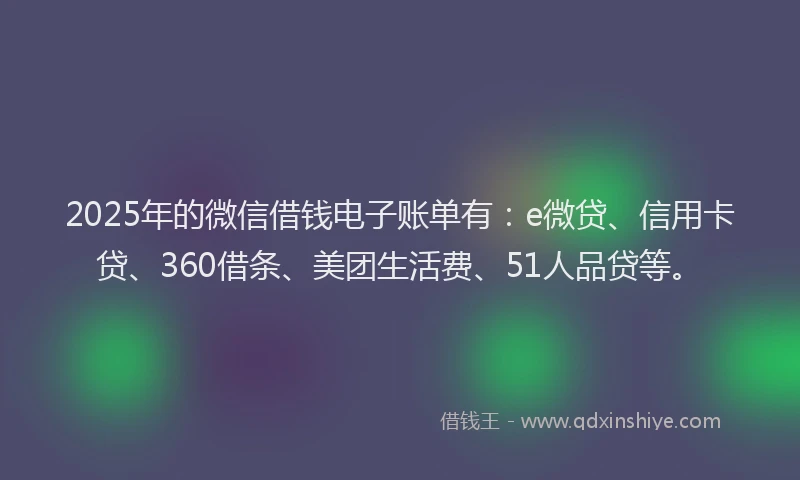 2025年的微信借钱电子账单有：e微贷、信用卡贷、360借条、美团生活费、51人品贷等。