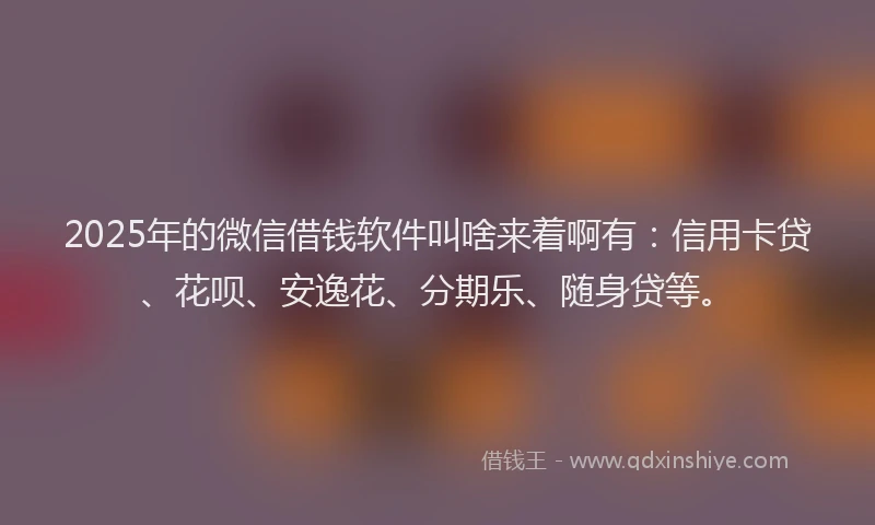 2025年的微信借钱软件叫啥来着啊有：信用卡贷、花呗、安逸花、分期乐、随身贷等。