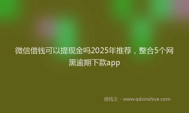 微信借钱可以提现金吗2025年推荐，整合5个网黑逾期下款app