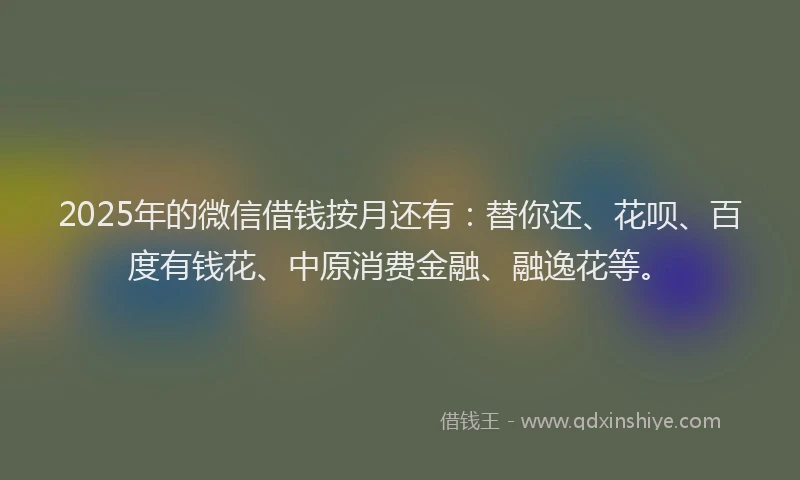 2025年的微信借钱按月还有：替你还、花呗、百度有钱花、中原消费金融、融逸花等。