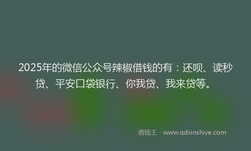 2025年的微信公众号辣椒借钱的有：还呗、读秒贷、平安口袋银行、你我贷、我来贷等。