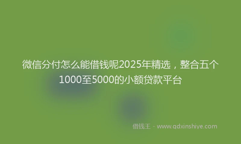 微信分付怎么能借钱呢2025年精选，整合五个1000至5000的小额贷款平台