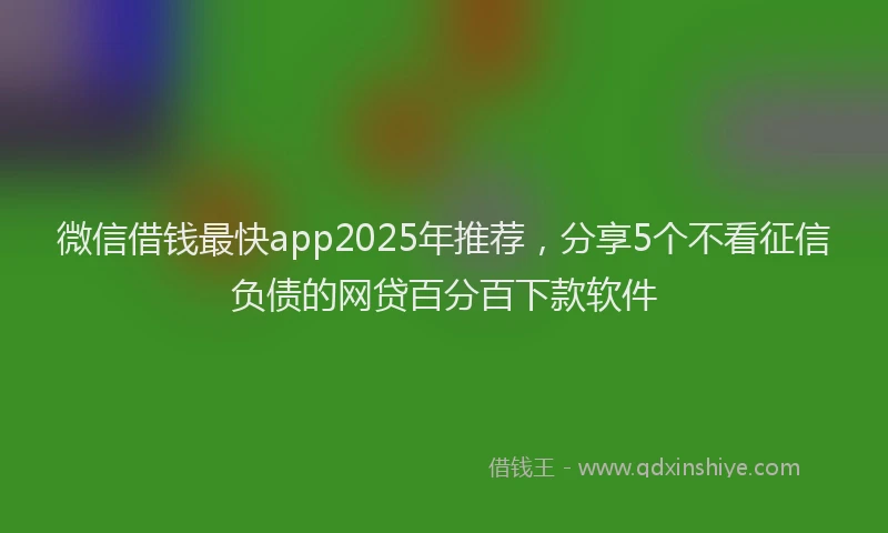 微信借钱最快app2025年推荐，分享5个不看征信负债的网贷百分百下款软件