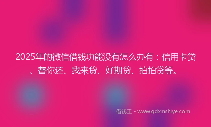 2025年的微信借钱功能没有怎么办有：信用卡贷、替你还、我来贷、好期贷、拍拍贷等。