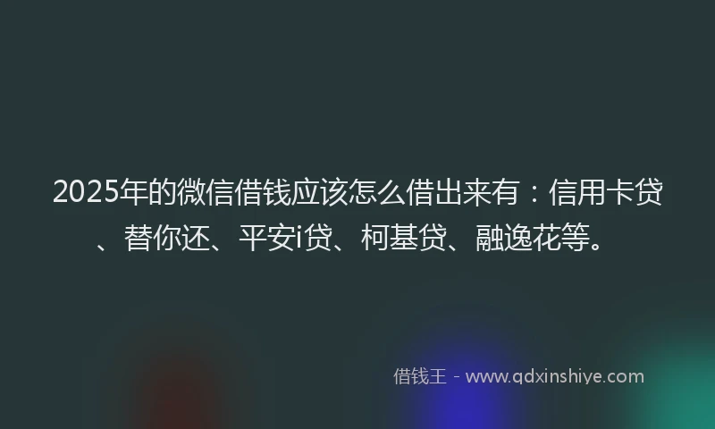 2025年的微信借钱应该怎么借出来有：信用卡贷、替你还、平安i贷、柯基贷、融逸花等。