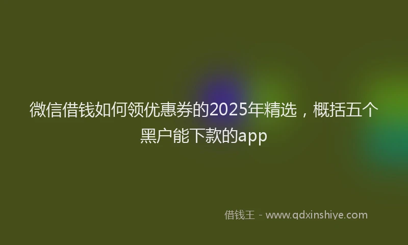 微信借钱如何领优惠券的2025年精选，概括五个黑户能下款的app