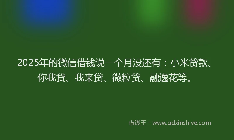 2025年的微信借钱说一个月没还有：小米贷款、你我贷、我来贷、微粒贷、融逸花等。