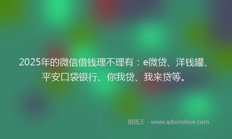2025年的微信借钱理不理有：e微贷、洋钱罐、平安口袋银行、你我贷、我来贷等。