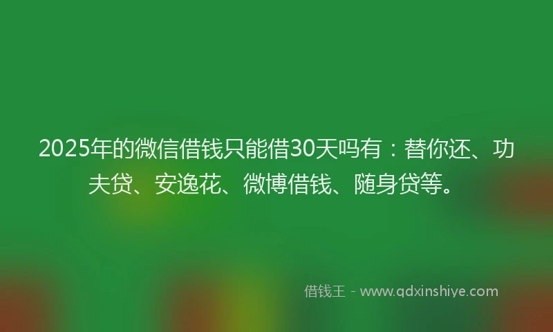 2025年的微信借钱只能借30天吗有：替你还、功夫贷、安逸花、微博借钱、随身贷等。