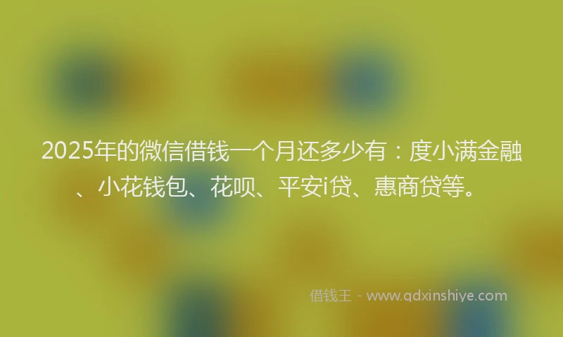 2025年的微信借钱一个月还多少有：度小满金融、小花钱包、花呗、平安i贷、惠商贷等。