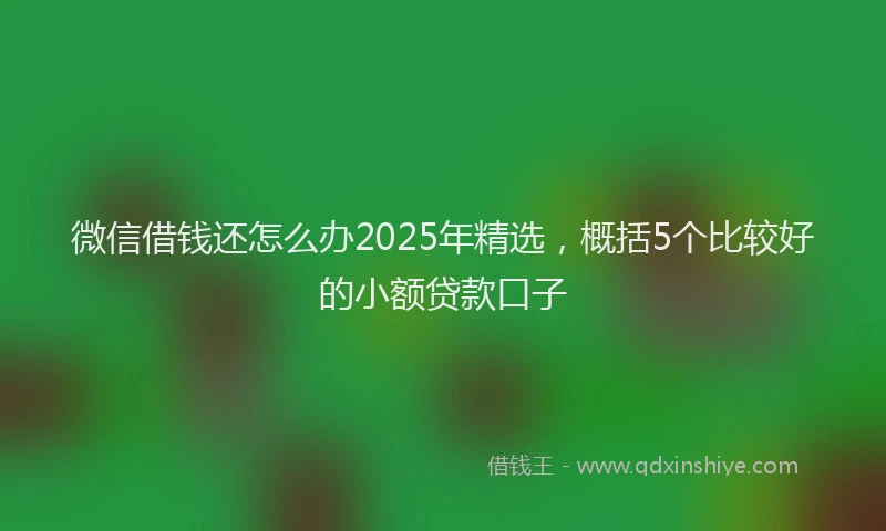 微信借钱还怎么办2025年精选，概括5个比较好的小额贷款口子