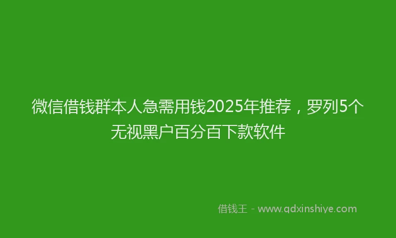 微信借钱群本人急需用钱2025年推荐，罗列5个无视黑户百分百下款软件