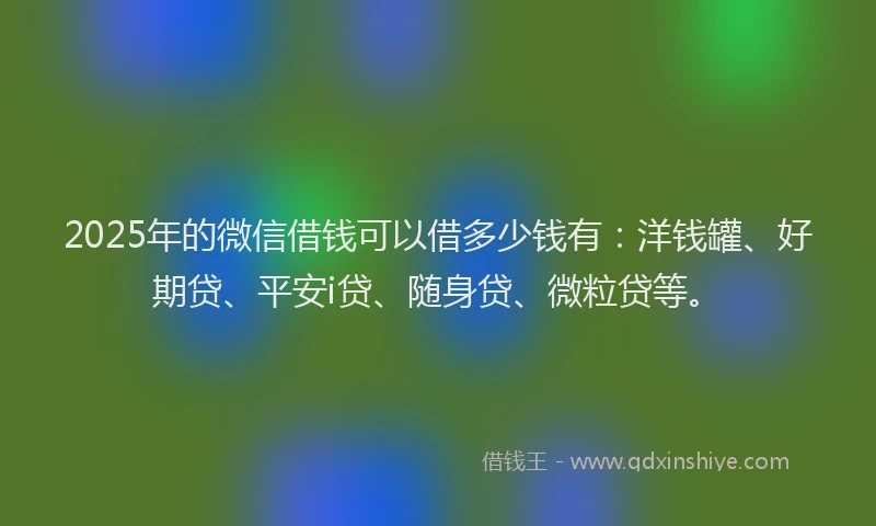 2025年的微信借钱可以借多少钱有：洋钱罐、好期贷、平安i贷、随身贷、微粒贷等。
