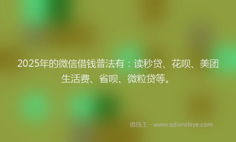2025年的微信借钱普法有：读秒贷、花呗、美团生活费、省呗、微粒贷等。