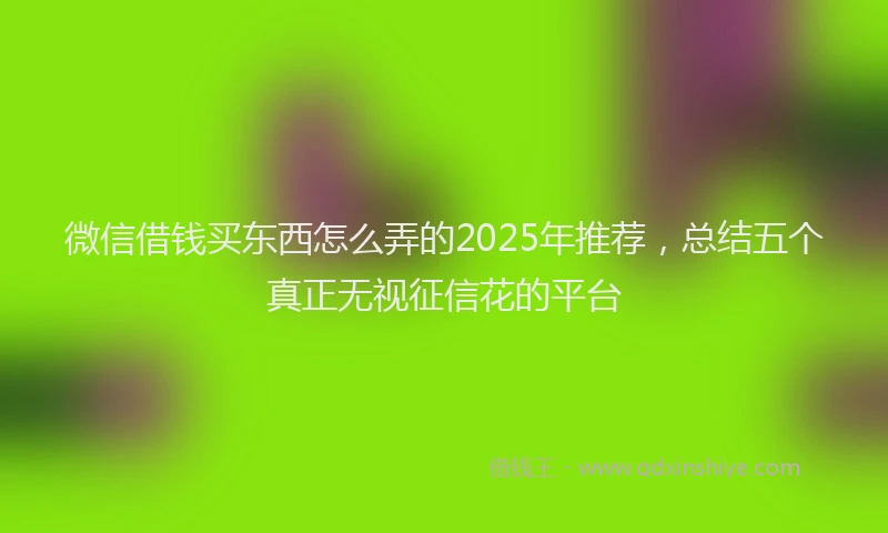 微信借钱买东西怎么弄的2025年推荐，总结五个真正无视征信花的平台