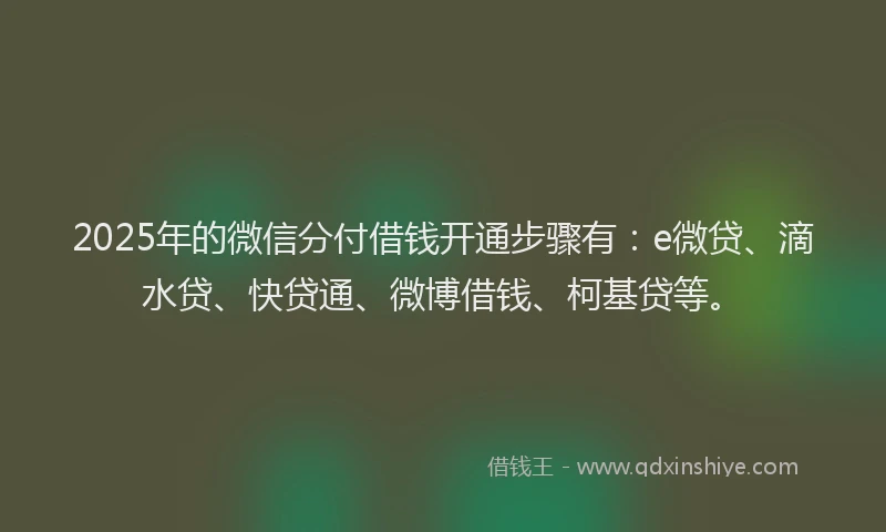 2025年的微信分付借钱开通步骤有：e微贷、滴水贷、快贷通、微博借钱、柯基贷等。