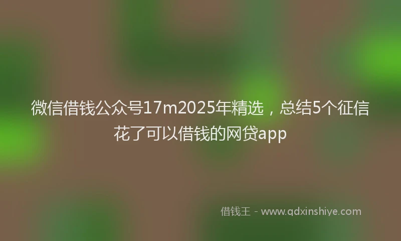 微信借钱公众号17m2025年精选，总结5个征信花了可以借钱的网贷app