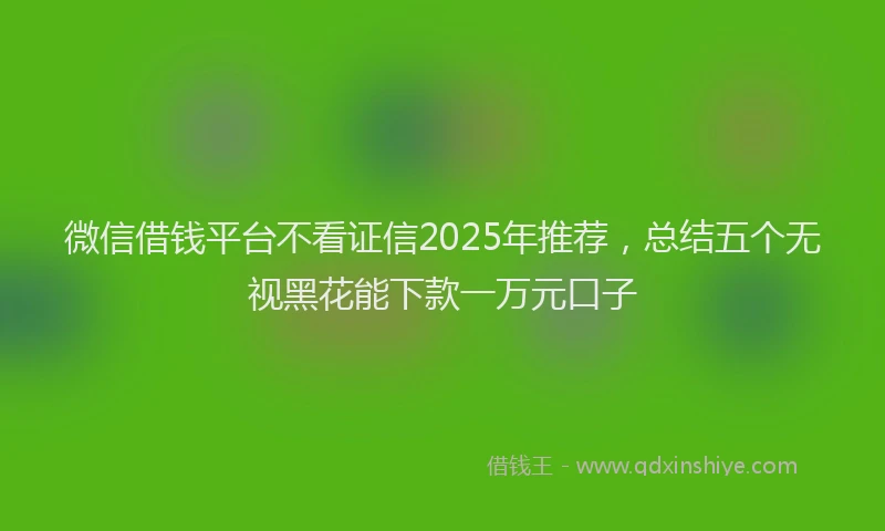 微信借钱平台不看证信2025年推荐，总结五个无视黑花能下款一万元口子