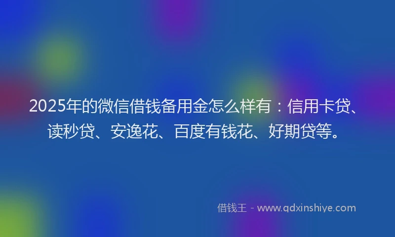2025年的微信借钱备用金怎么样有：信用卡贷、读秒贷、安逸花、百度有钱花、好期贷等。
