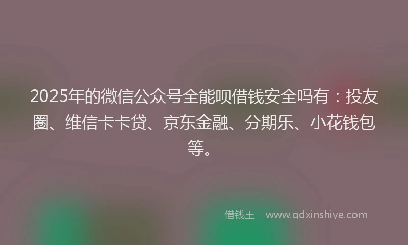 2025年的微信公众号全能呗借钱安全吗有：投友圈、维信卡卡贷、京东金融、分期乐、小花钱包等。