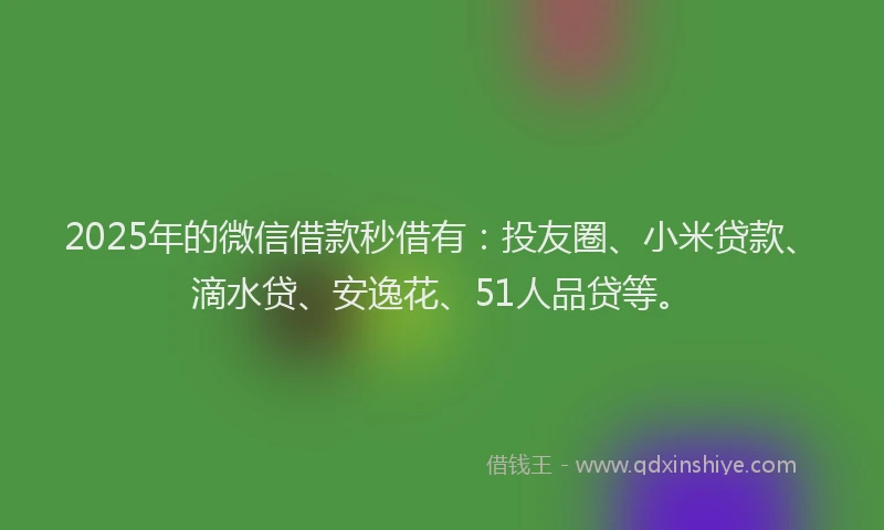 2025年的微信借款秒借有：投友圈、小米贷款、滴水贷、安逸花、51人品贷等。