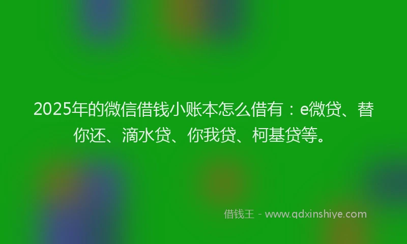 2025年的微信借钱小账本怎么借有：e微贷、替你还、滴水贷、你我贷、柯基贷等。