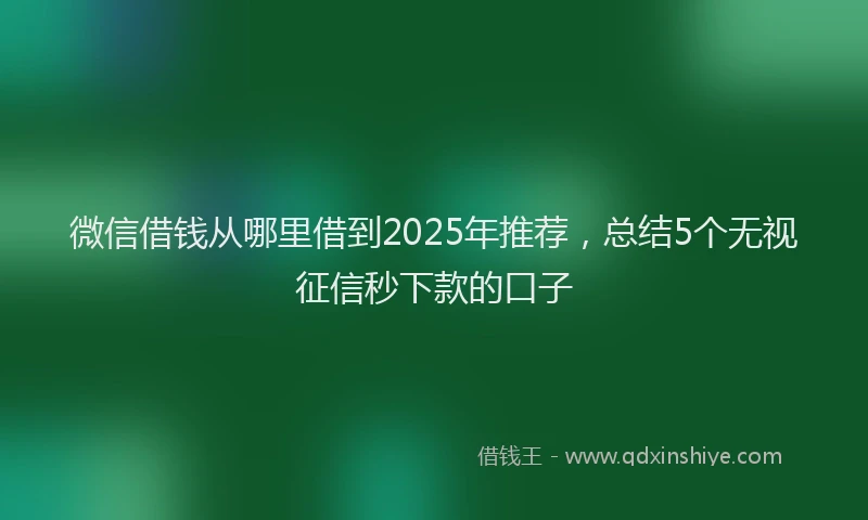 微信借钱从哪里借到2025年推荐，总结5个无视征信秒下款的口子