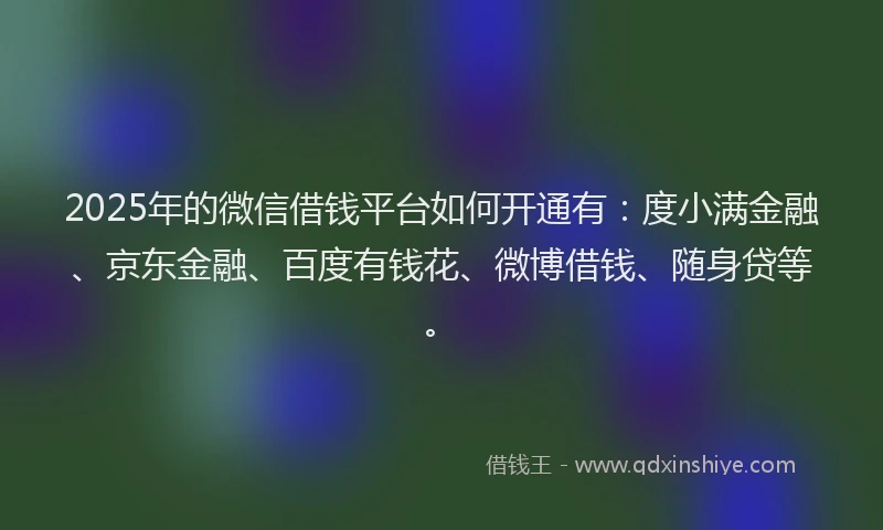 2025年的微信借钱平台如何开通有：度小满金融、京东金融、百度有钱花、微博借钱、随身贷等。