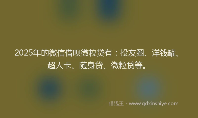 2025年的微信借呗微粒贷有：投友圈、洋钱罐、超人卡、随身贷、微粒贷等。