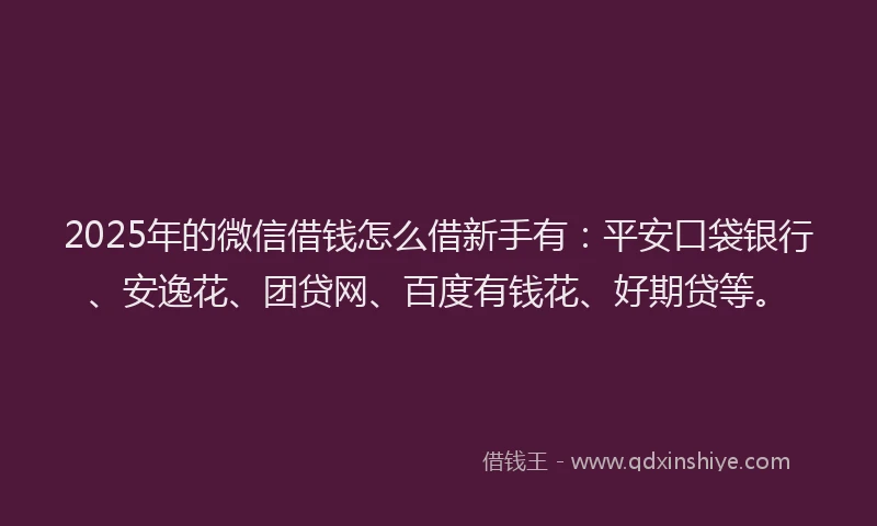 2025年的微信借钱怎么借新手有：平安口袋银行、安逸花、团贷网、百度有钱花、好期贷等。
