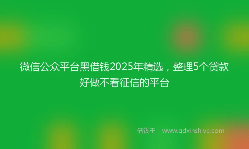 微信公众平台黑借钱2025年精选，整理5个贷款好做不看征信的平台