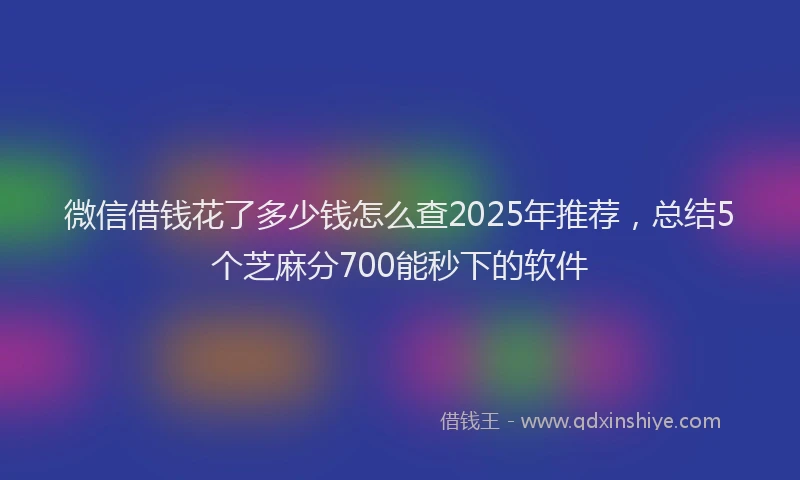 微信借钱花了多少钱怎么查2025年推荐，总结5个芝麻分700能秒下的软件