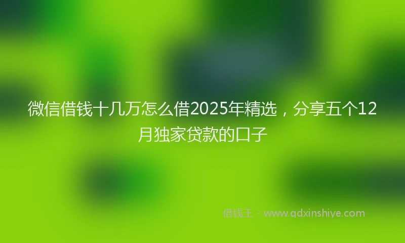 微信借钱十几万怎么借2025年精选，分享五个12月独家贷款的口子
