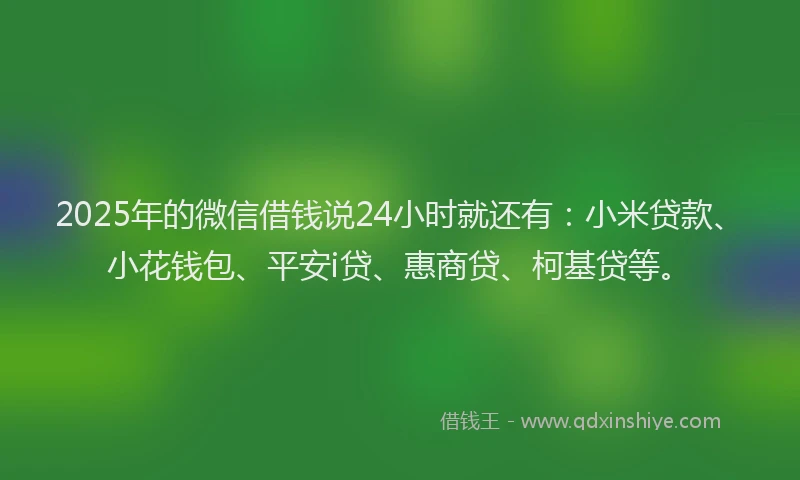 2025年的微信借钱说24小时就还有：小米贷款、小花钱包、平安i贷、惠商贷、柯基贷等。