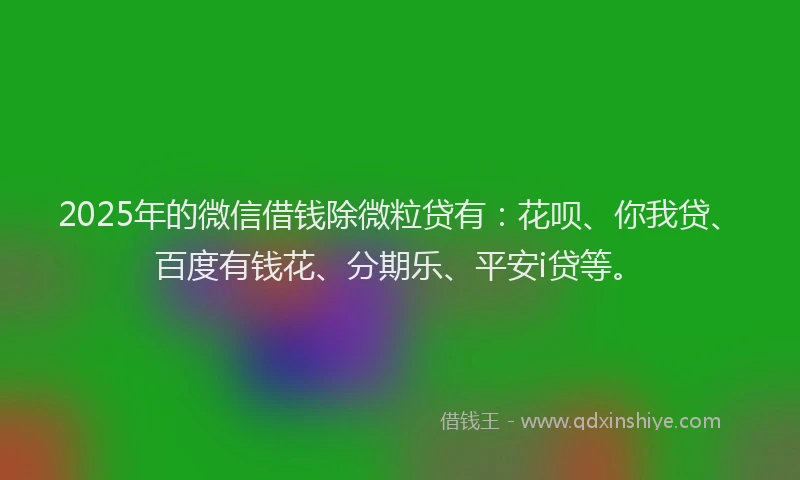 2025年的微信借钱除微粒贷有：花呗、你我贷、百度有钱花、分期乐、平安i贷等。
