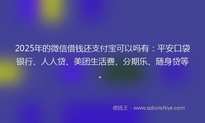 2025年的微信借钱还支付宝可以吗有：平安口袋银行、人人贷、美团生活费、分期乐、随身贷等。
