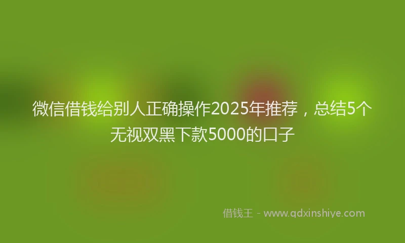 微信借钱给别人正确操作2025年推荐，总结5个无视双黑下款5000的口子