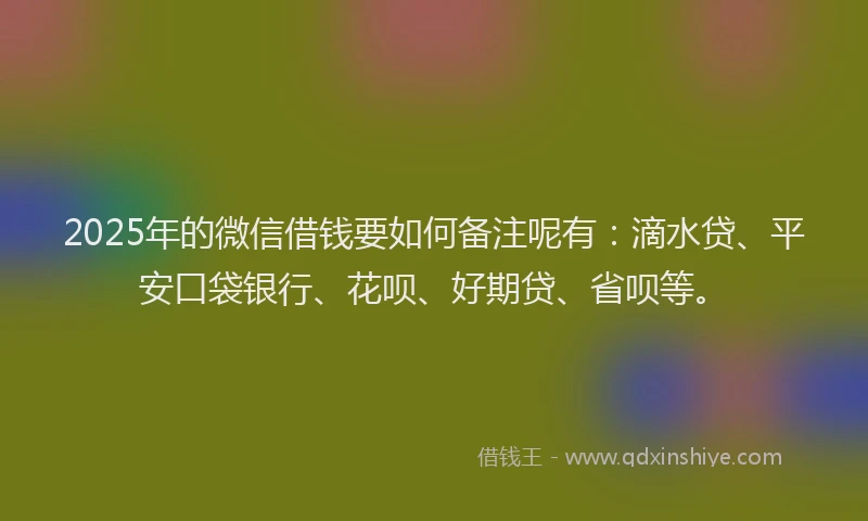 2025年的微信借钱要如何备注呢有：滴水贷、平安口袋银行、花呗、好期贷、省呗等。